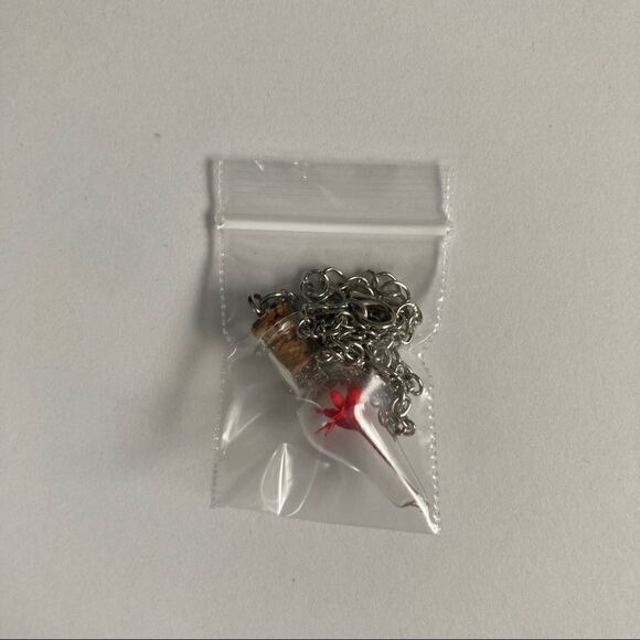Red Dried Flower Glass Bottle Necklace - Picture 6 of 7